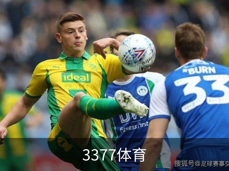 关于3377体育